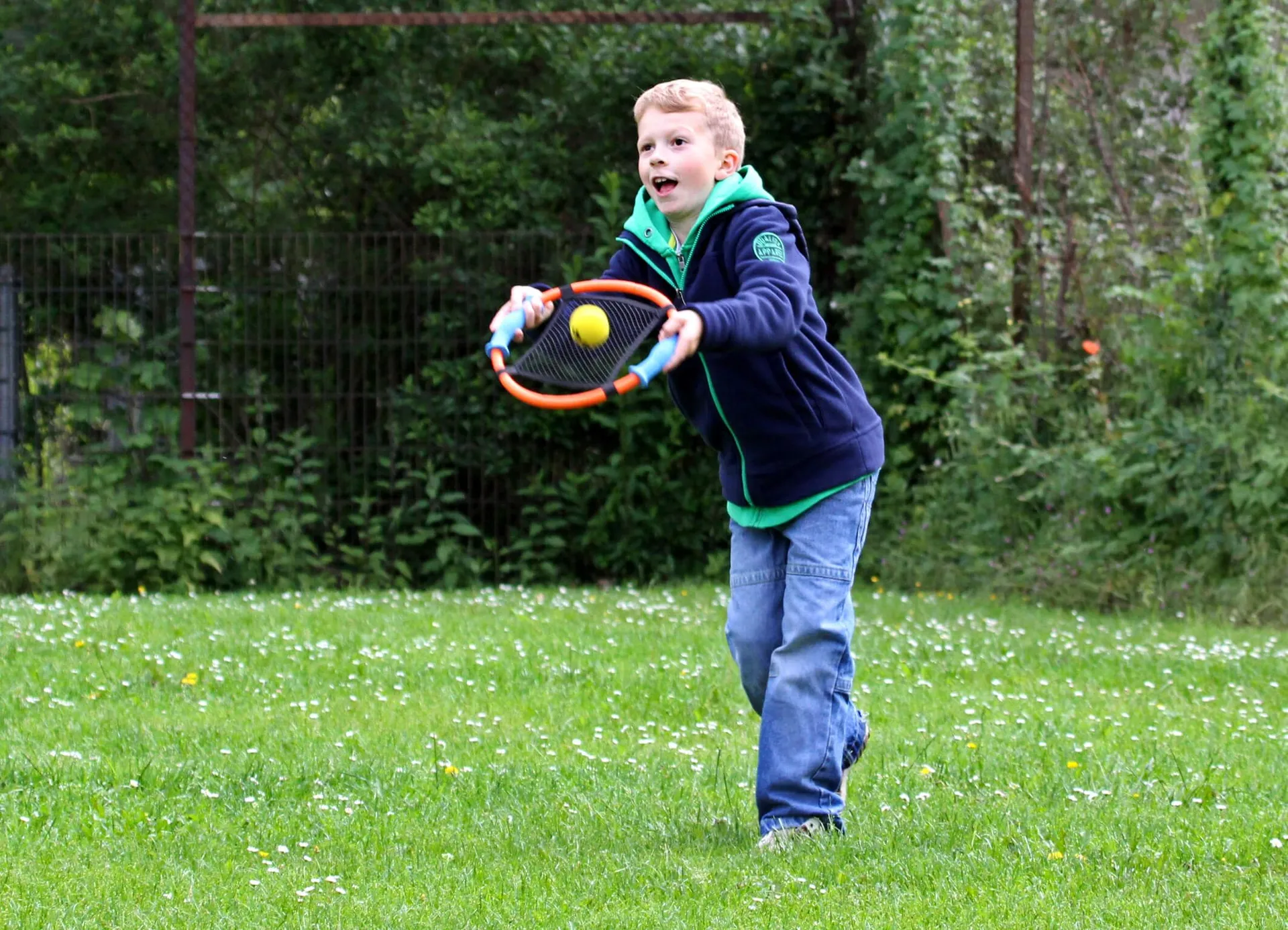 Netzball | Dragon Toys