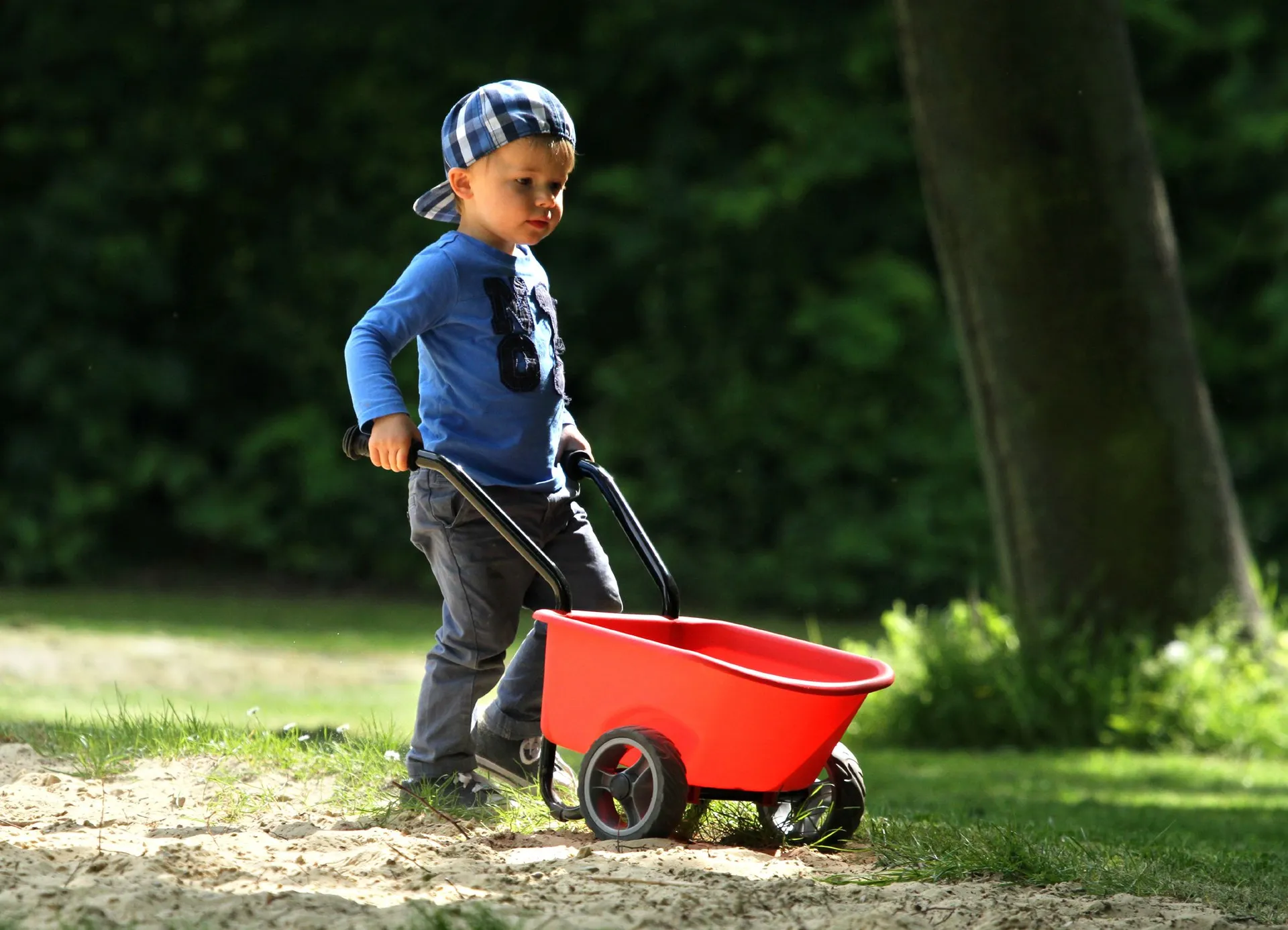 Kinderschubkarre, rot | Dragon Toys_20402-R_