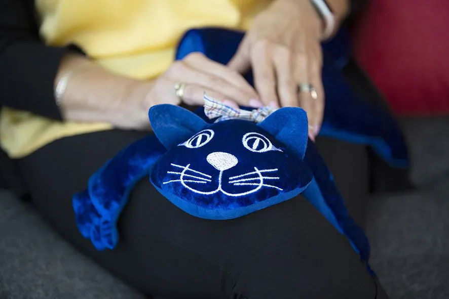 Sensi Katze 2 kg | Gewichtstier_39128_