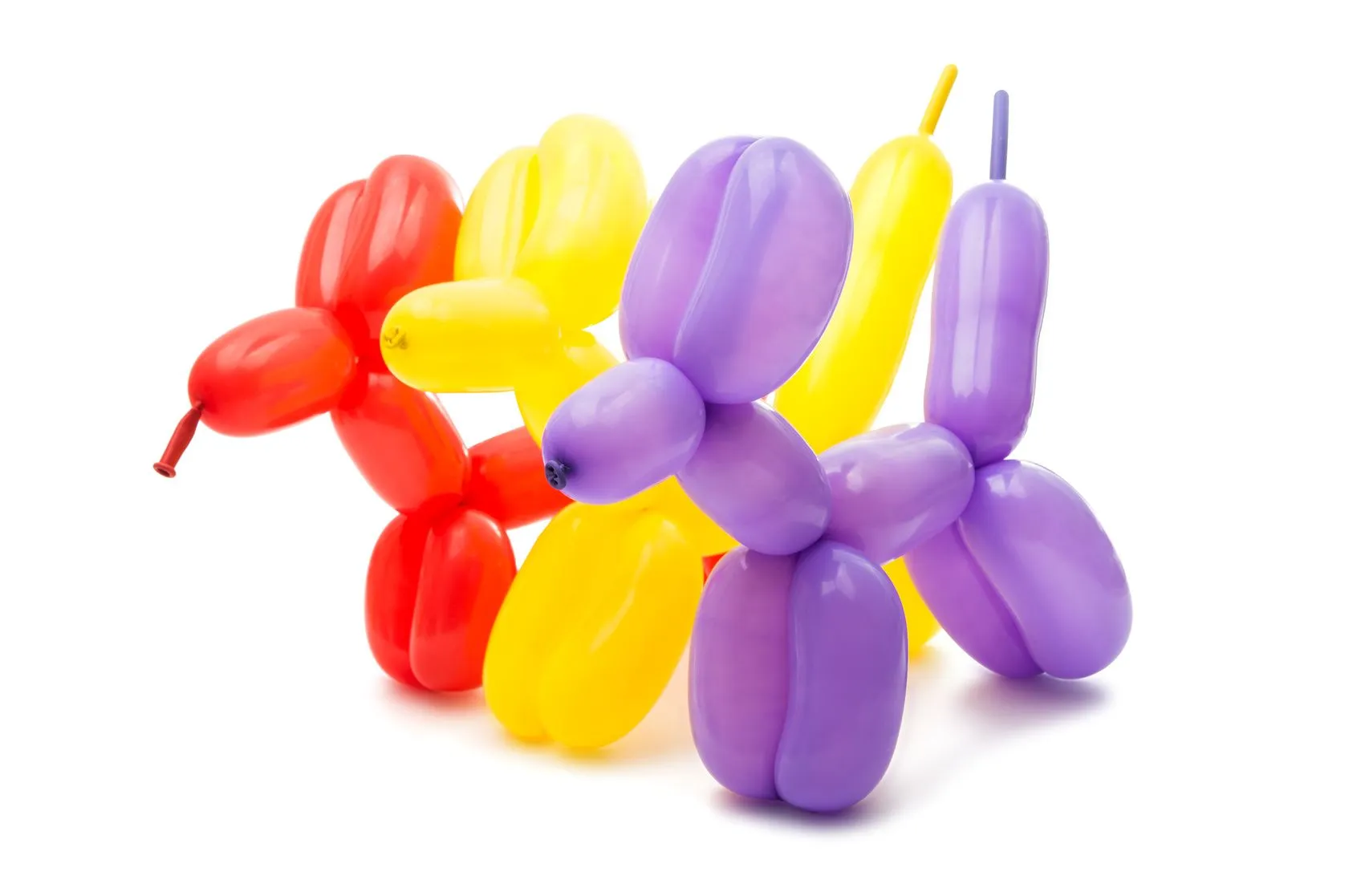 Zauberballons 