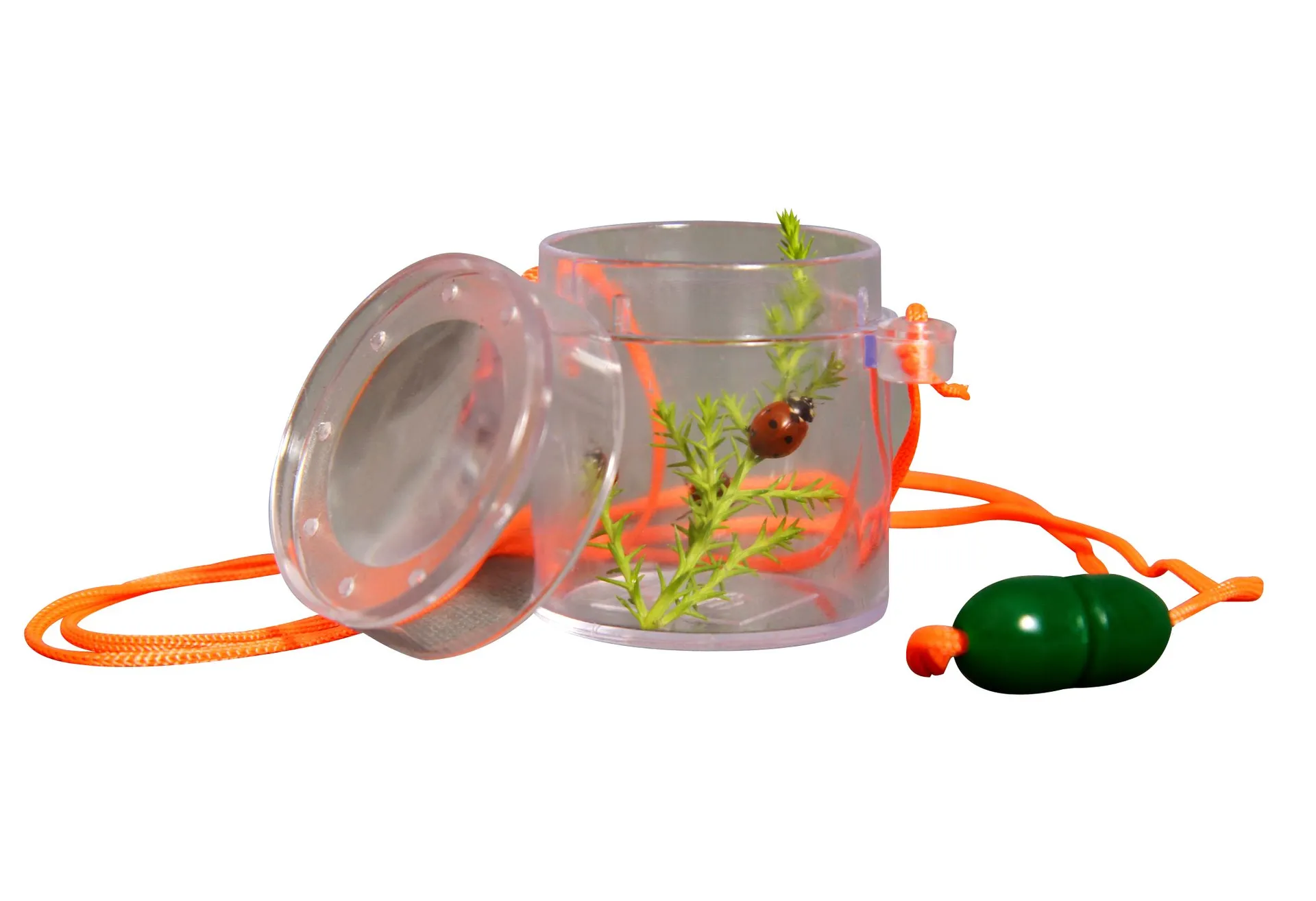 70132 Lupendose_frei Lupendose | Dragon Toys